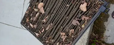 A dirty cabin filter