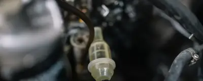 Automotive fuel filter