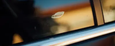 Sticker on the window of a parked car