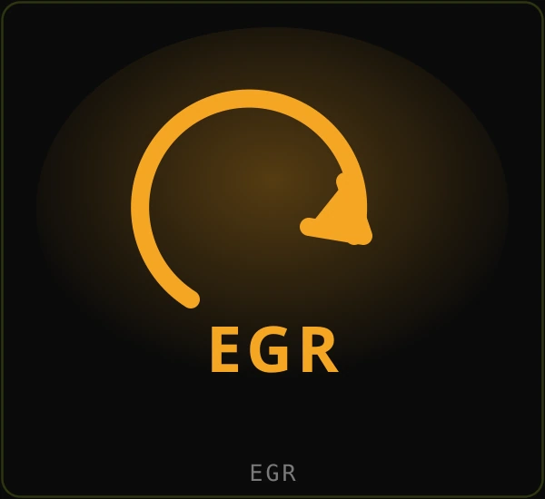 Exhaust Gas Recirculation valve (EGR)