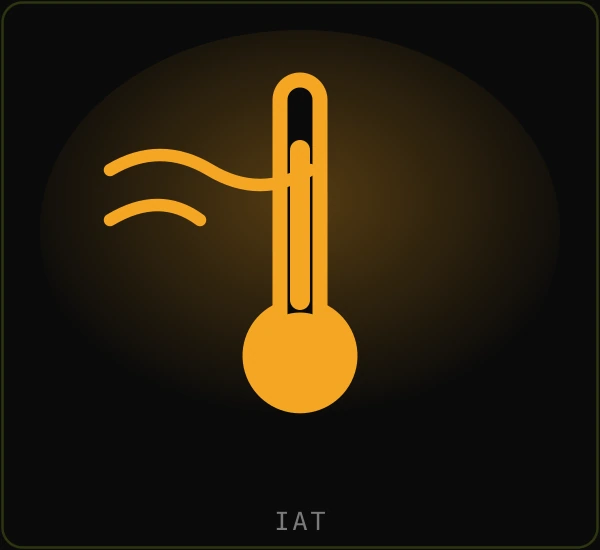 Intake Air Temperature sensor (IAT)