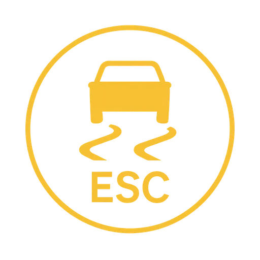 Tesla ESC warning
