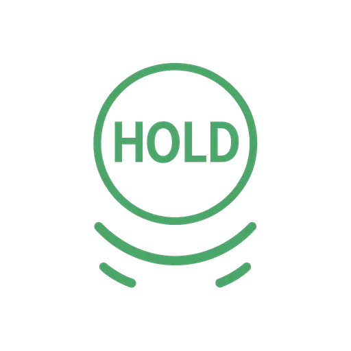 Tesla hold mode icon