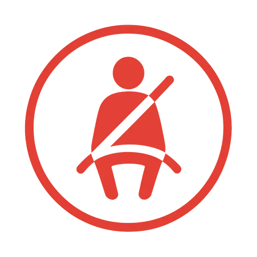 Tesla seat belt